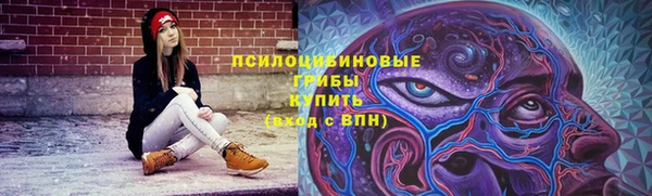 стаф Абдулино