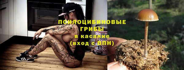 крисы Абинск