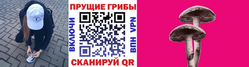 Галлюциногенные грибы Psilocybe Чекалин